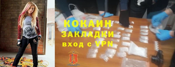 индика Арсеньев