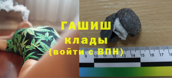 индика Арсеньев