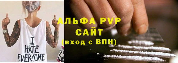 индика Арсеньев