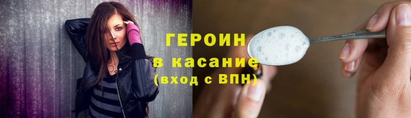 индика Арсеньев