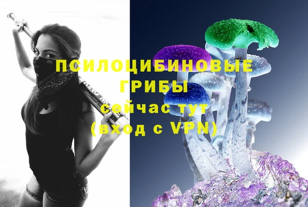 СК Аркадак
