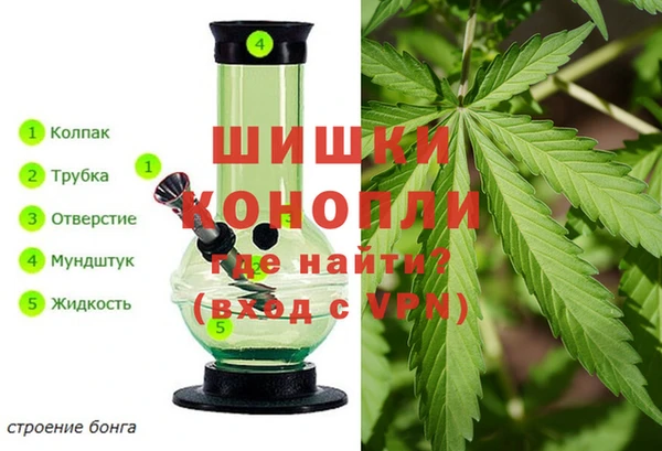 СК Аркадак