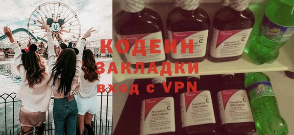 индика Арсеньев