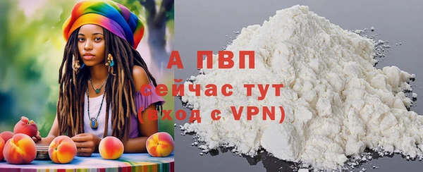 индика Арсеньев