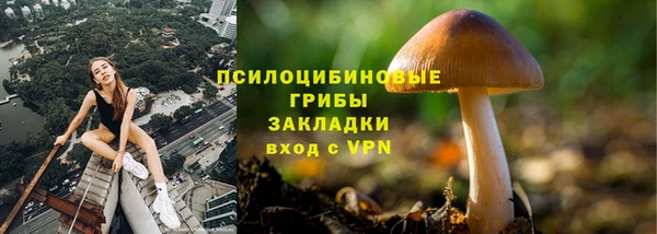 индика Арсеньев